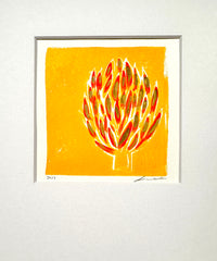 Artichaut Orange