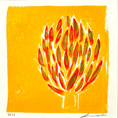 Artichaut Orange