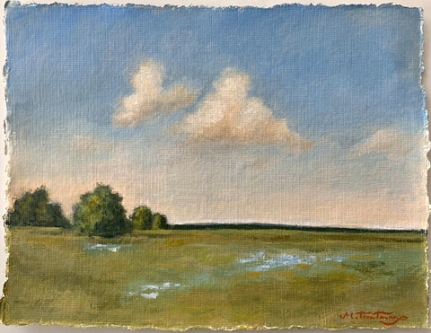 Landscape Study XII