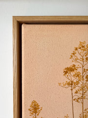 Longleaf Pines