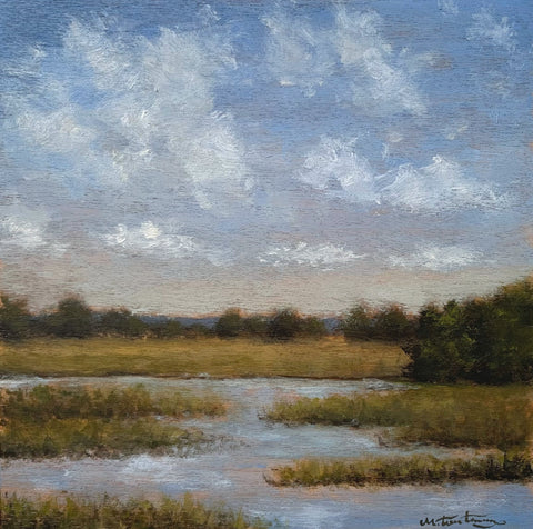 Marsh Study