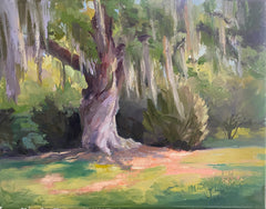 Mepkin Oak