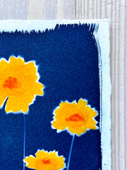Summer Susans I