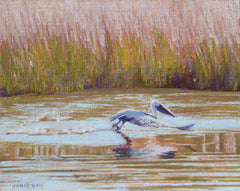 Pelican Glide