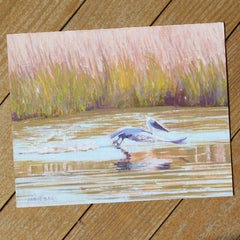Pelican Glide