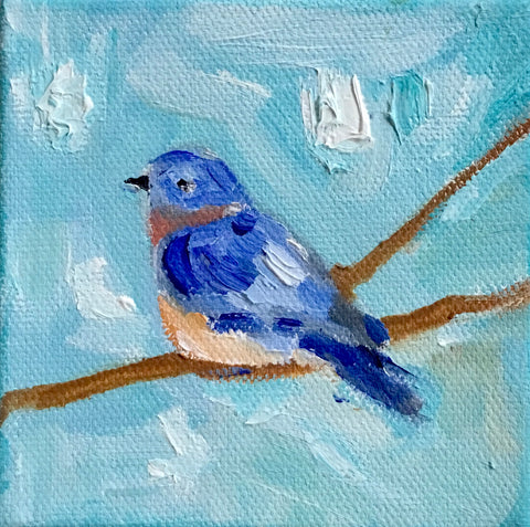 Hopeful Bluebird