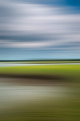 Stono River 84782