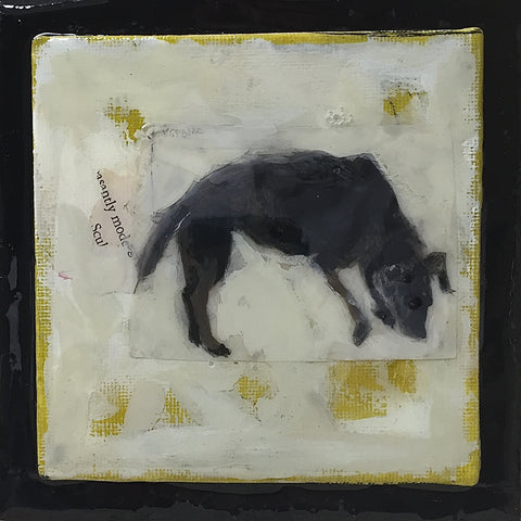 Black Dog