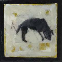 Black Dog