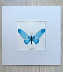 Butterfly No. 6