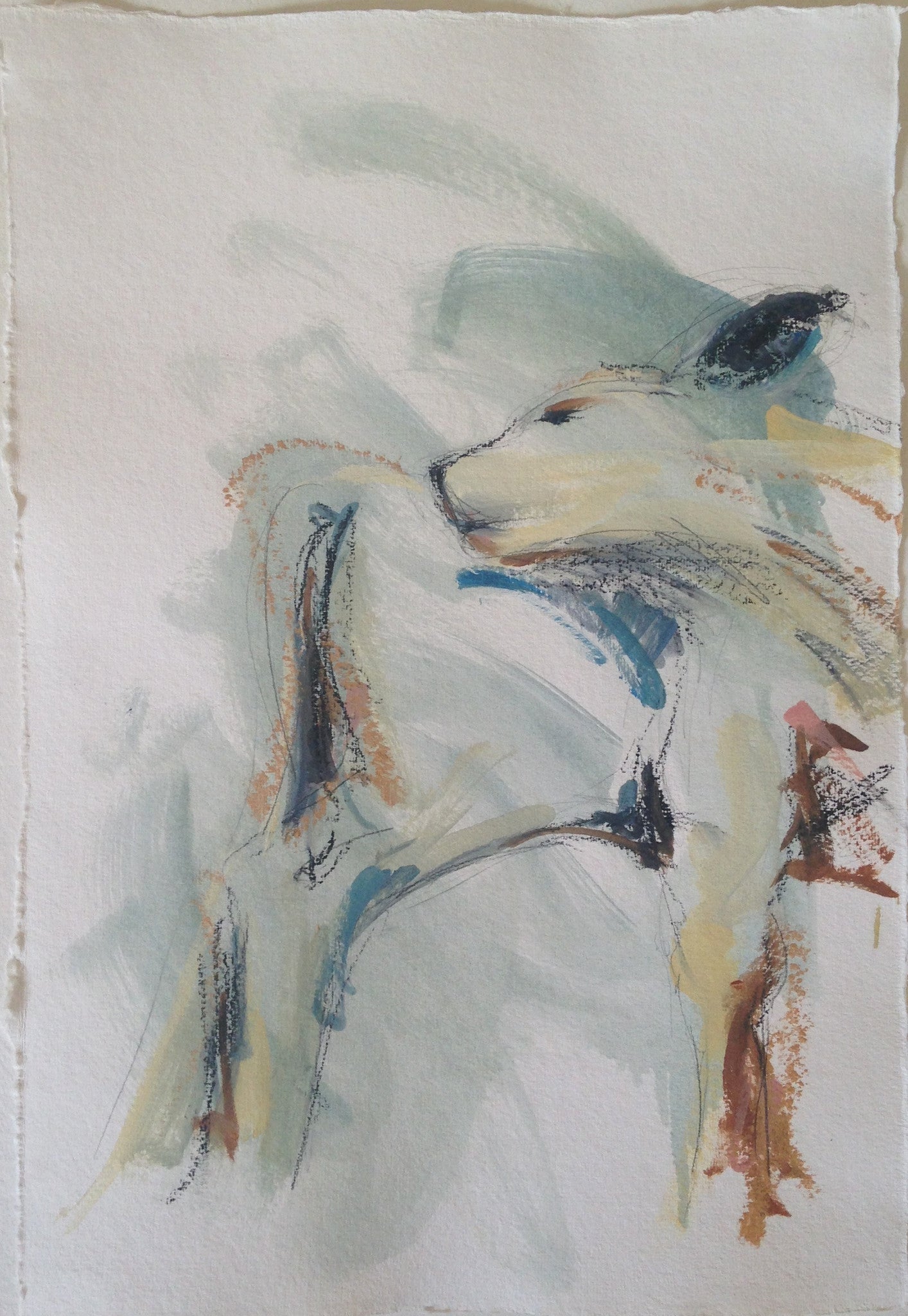 Calf Study II