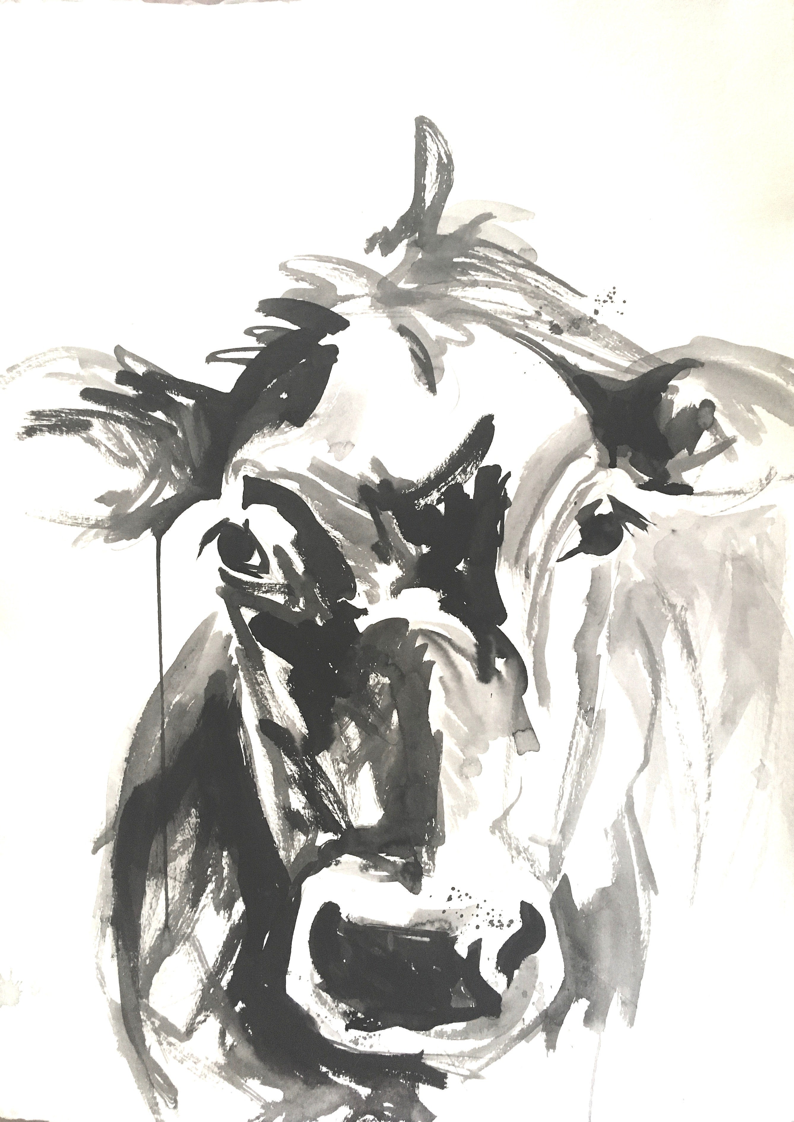 Cow Portrait In Ink I