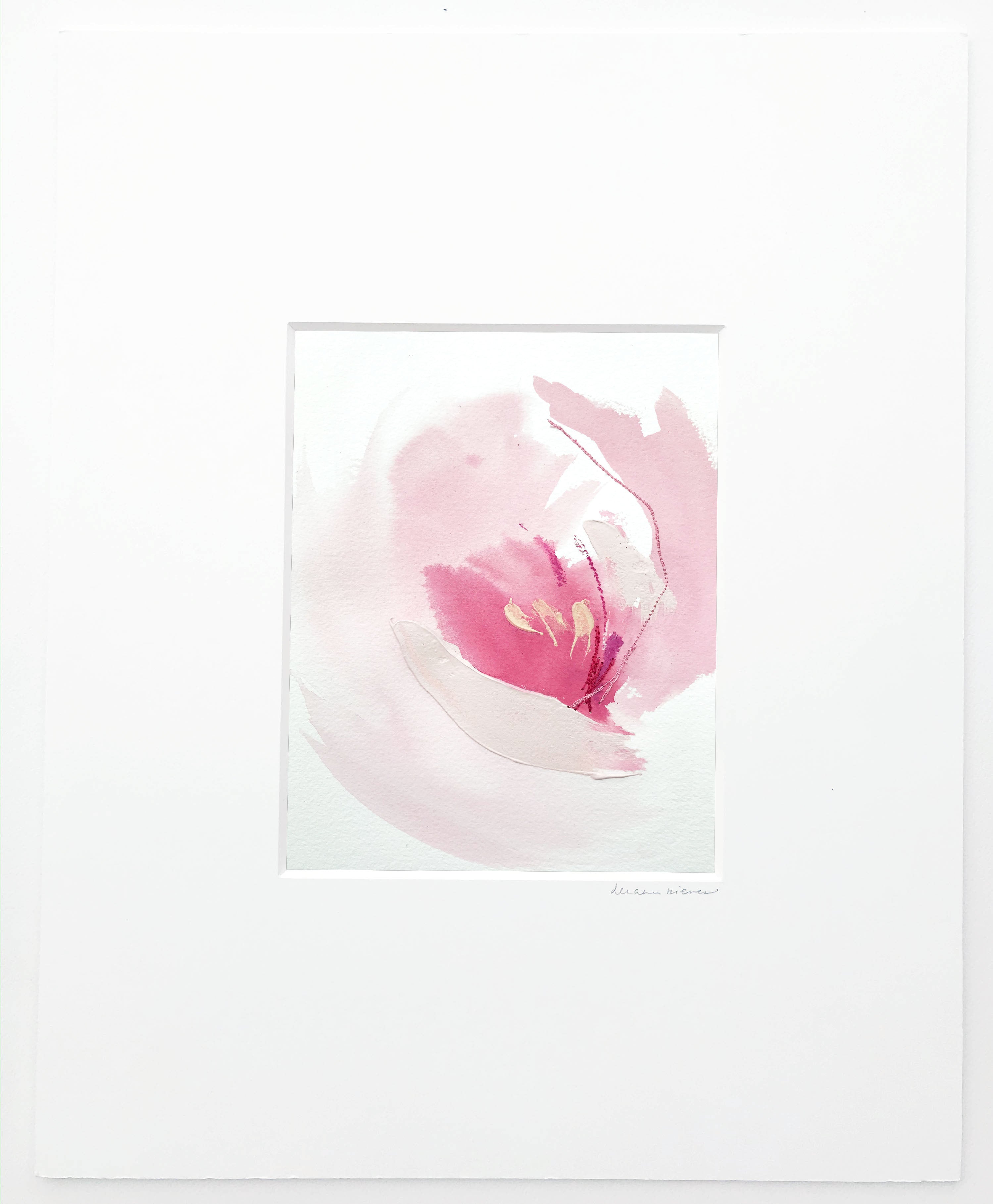 French Tulip 1