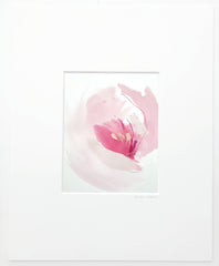 French Tulip 1