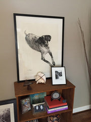  above: Commissioned drawing by Lisa Gleim.