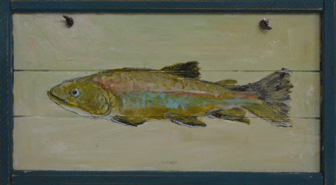 Rainbow Trout