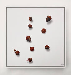 Floating Acorns