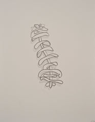 Abstract Succulent IV