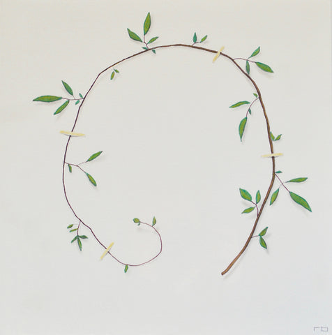 Vine Study