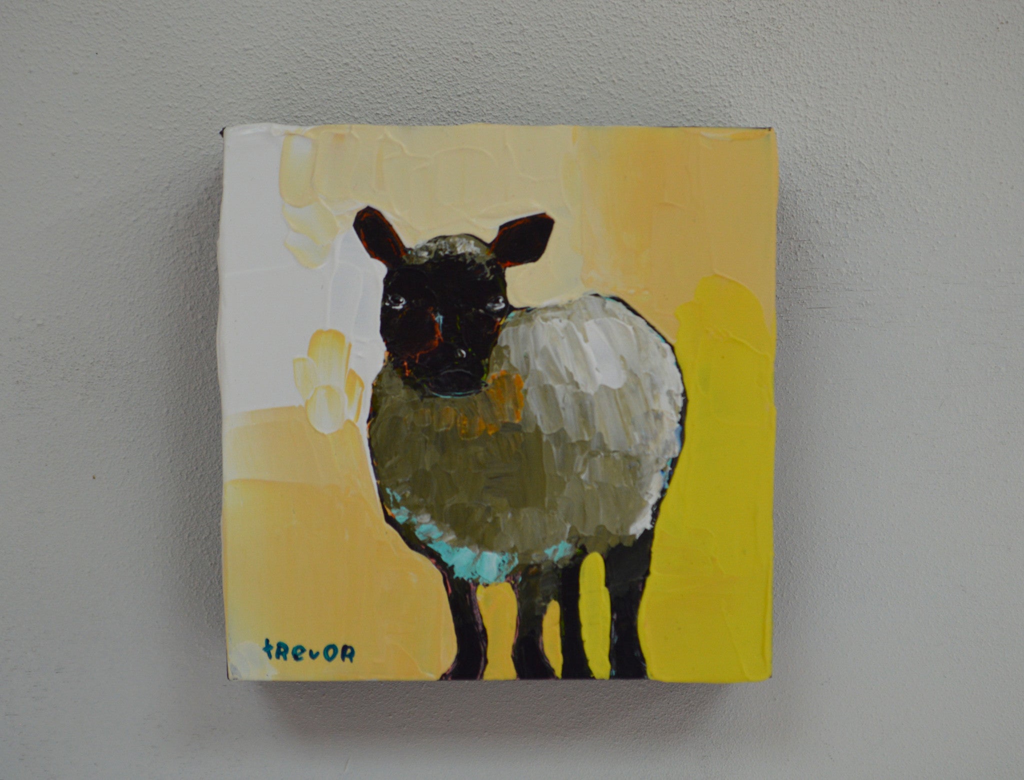 Sheep