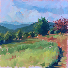 Hot Springs View